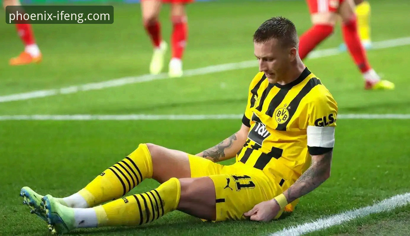 阿根廷新星重伤无缘世界杯，战术损失与平台深度解析